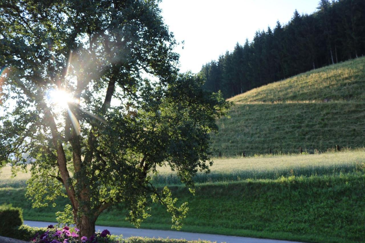 Biohof Schmiedbauer Apartment Sankt Martin (Carinthia)